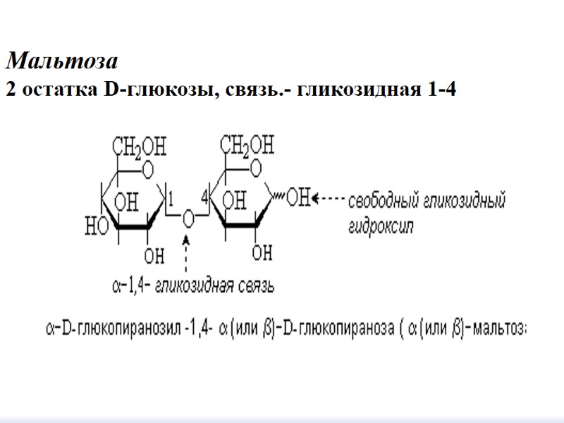 Мальтоза   2 остатка D-глюкозы, связь.- гликозидная 1-4